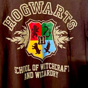 Harry Potter Hogwarts Large